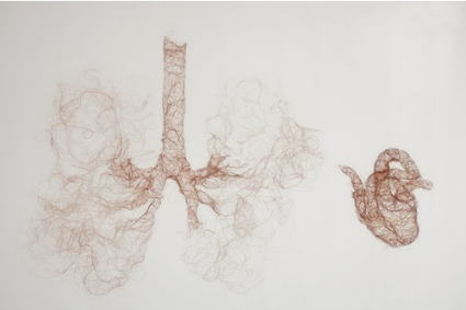 Untitled (Heart Lungs) by Helen Pynor (2013)
